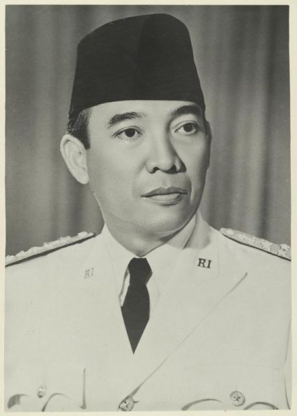 File:Medium sized JPEG.jpg